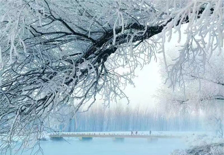 Snow whitened